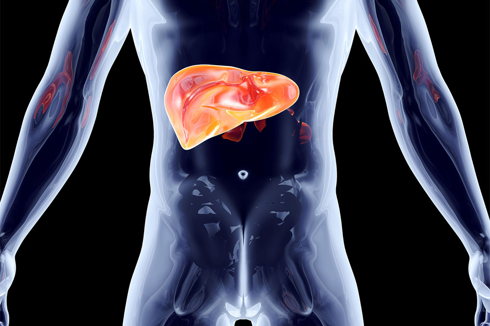 8 lesser-known facts about the liver